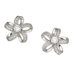 Diamond, White Gold Earrings
